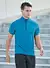 mens golf shirt